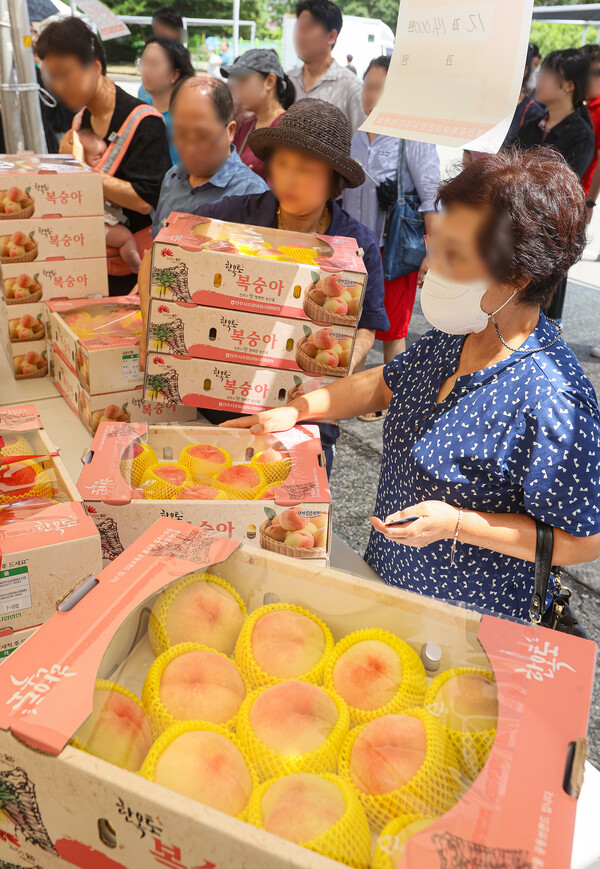 제25회 명품전주복숭아큰잔치 행사가 진행된 19일 전주시 전주종합경기장에 마련된 행사장에서 시민들이 복숭아를 구매하고 있다.