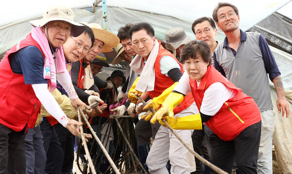 김기현 국민의힘 대표가 25일 익산시 용안면의 수해피해 지역을 찾아 한 비닐 하우스에서 폐자재를 치우고 있다.