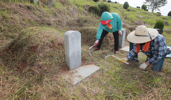 추석을 앞둔 23일 전주 효자공원 묘지를 찾은 노 부부가 부모의 묘비 앞에서 낫으로 풀을 베며 벌초 작업을 하고 있다./이원철 기자
