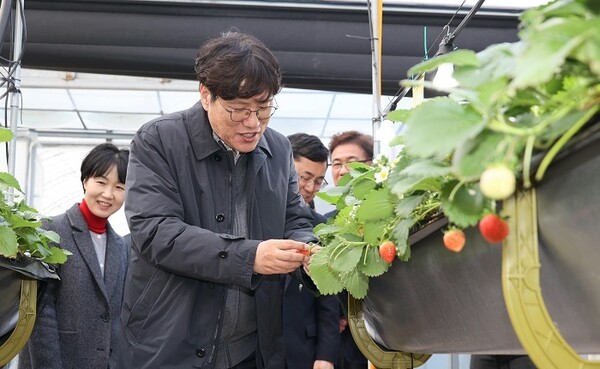 충남 천안 딸기 재배 청년 농가 방문
