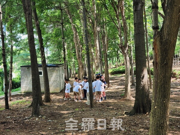 유아숲체험원서 숲놀이 체험 프로그램.