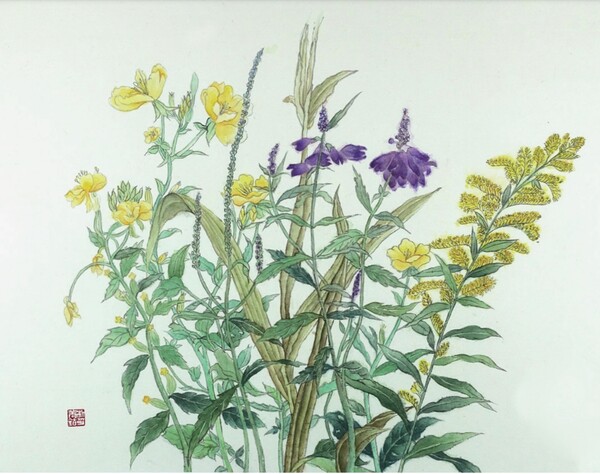 박미현, 풀꽃, 한지에 채색, 50.0x40.5cm_2023 (1)
