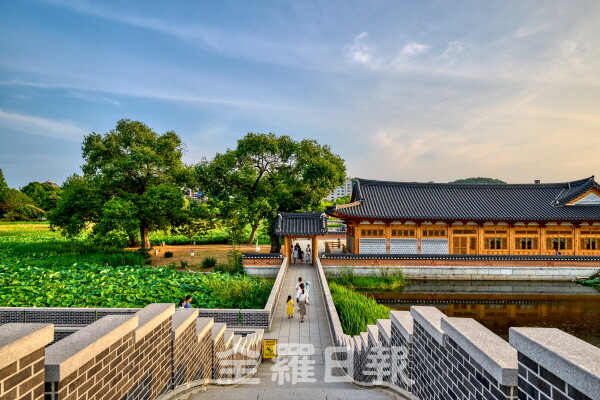 전주 덕진공원.