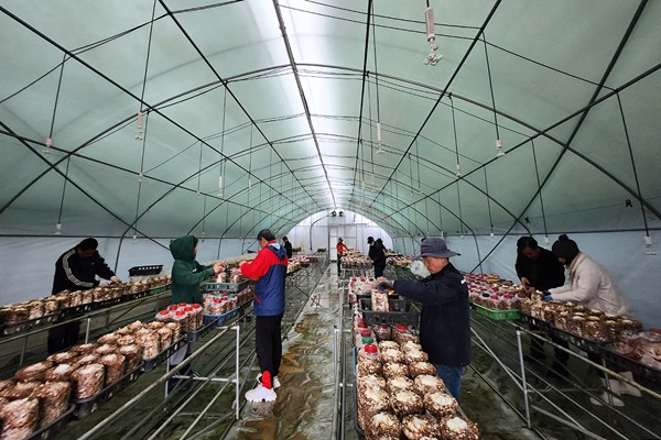 무주군제공= 무주군 체재형 가족실습농장 운영