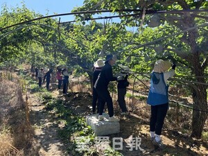 전북대, 농작업 근력보조 '<b>웨어러블 로봇</b>' 개발 착수···63억 투입